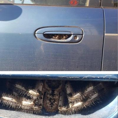 Прикрепленное изображение: 163664295_3865244490180485_6871329864143270431_o.jpg